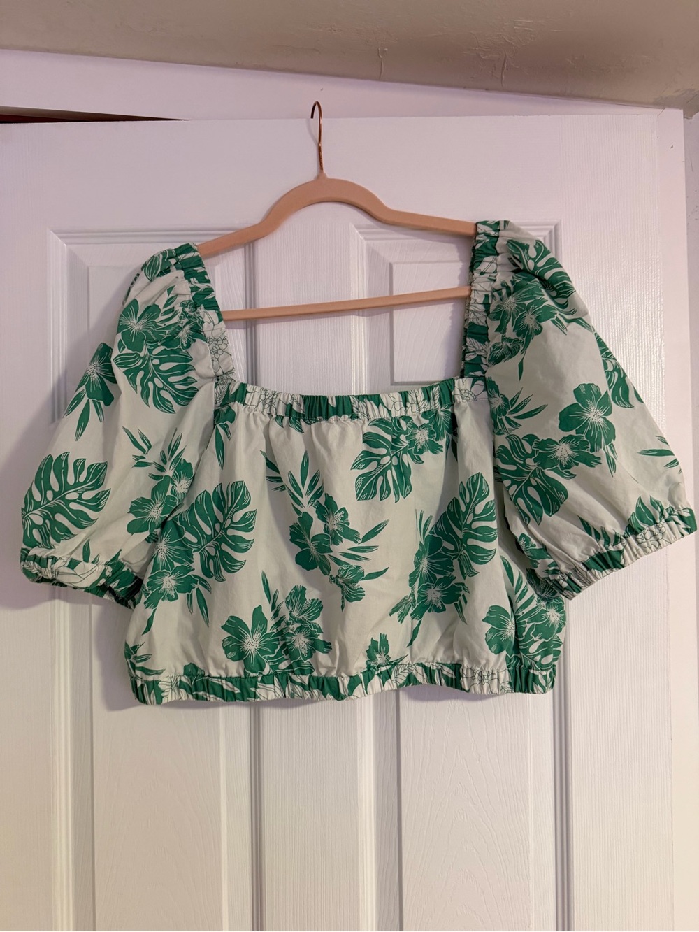 American Eagle Outfitters Green and White Floral Puff-Sleeve Crop Top